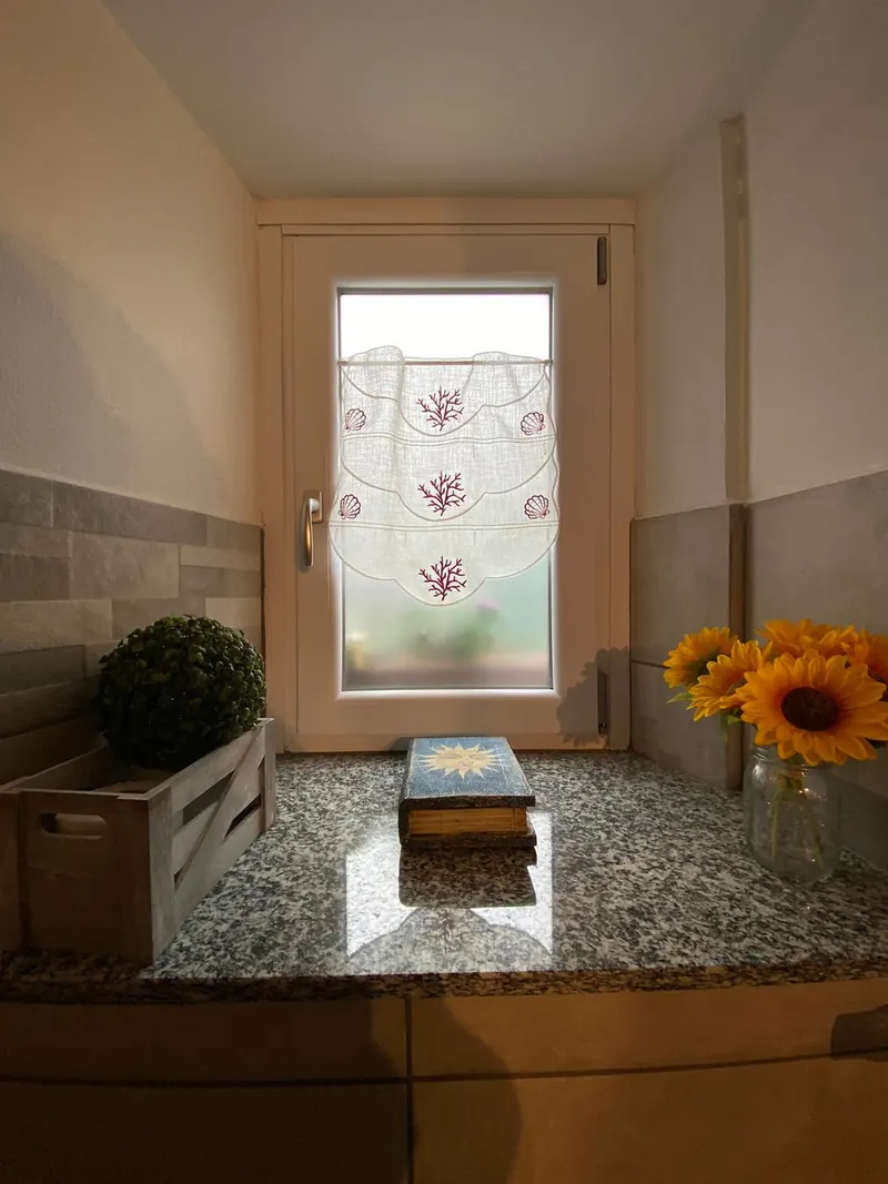 Il piano in granito e la porta a vetri decorata